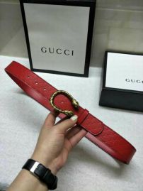 Picture of Gucci Belts _SKUGucciBelt34mmX95-115CM7D064689